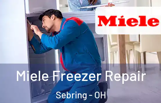  Miele Freezer Repair Sebring - OH