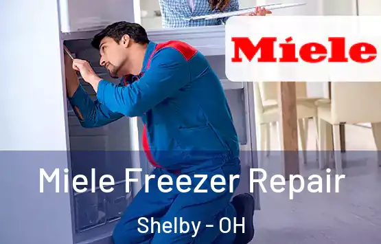  Miele Freezer Repair Shelby - OH