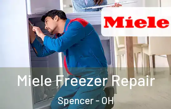  Miele Freezer Repair Spencer - OH
