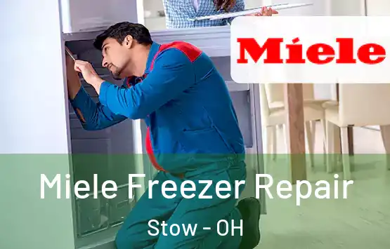  Miele Freezer Repair Stow - OH