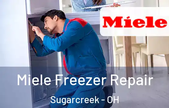  Miele Freezer Repair Sugarcreek - OH
