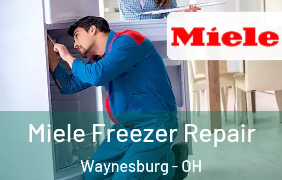  Miele Freezer Repair Waynesburg - OH