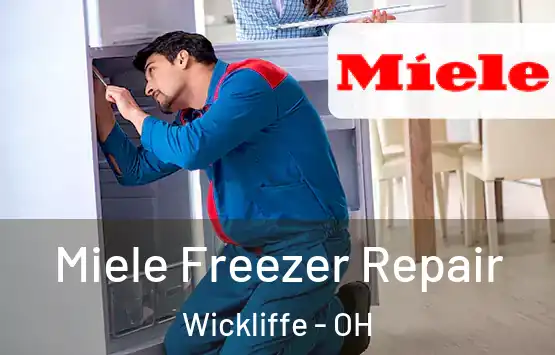  Miele Freezer Repair Wickliffe - OH