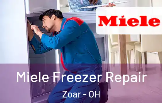  Miele Freezer Repair Zoar - OH