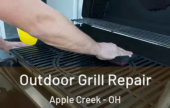  Outdoor Grill Repair Apple Creek - OH