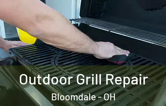  Outdoor Grill Repair Bloomdale - OH