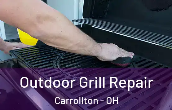  Outdoor Grill Repair Carrollton - OH
