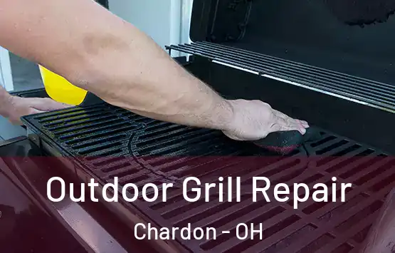  Outdoor Grill Repair Chardon - OH