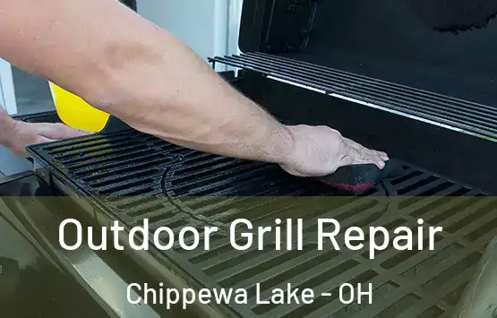  Outdoor Grill Repair Chippewa Lake - OH