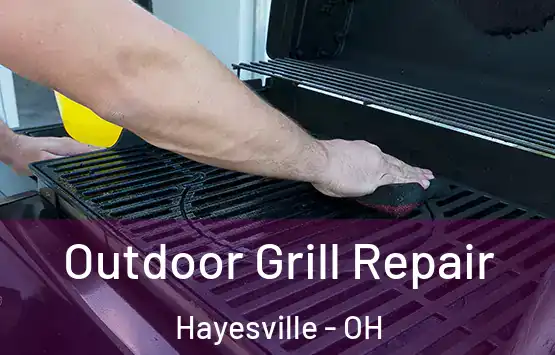  Outdoor Grill Repair Hayesville - OH