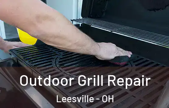  Outdoor Grill Repair Leesville - OH