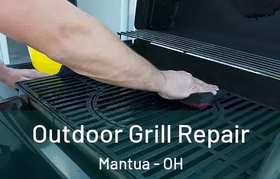  Outdoor Grill Repair Mantua - OH