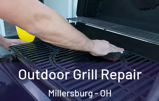  Outdoor Grill Repair Millersburg - OH
