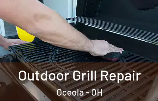  Outdoor Grill Repair Oceola - OH