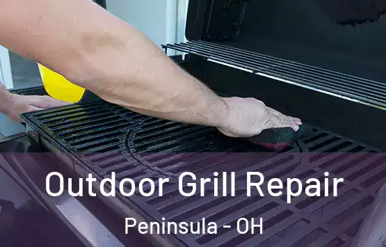  Outdoor Grill Repair Peninsula - OH
