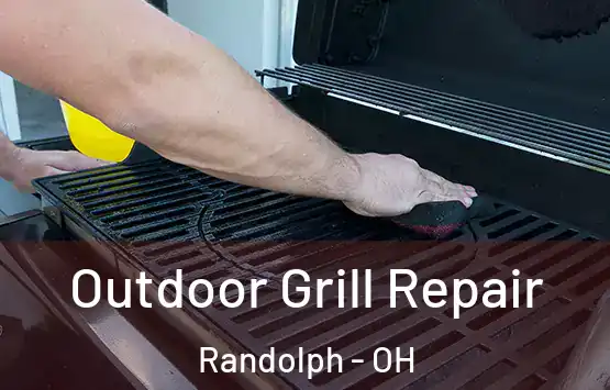  Outdoor Grill Repair Randolph - OH