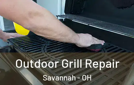  Outdoor Grill Repair Savannah - OH
