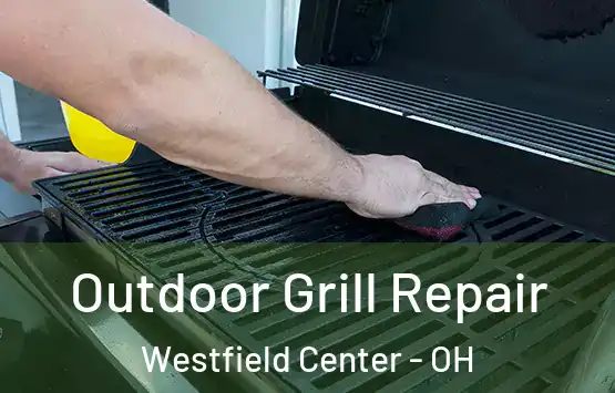  Outdoor Grill Repair Westfield Center - OH