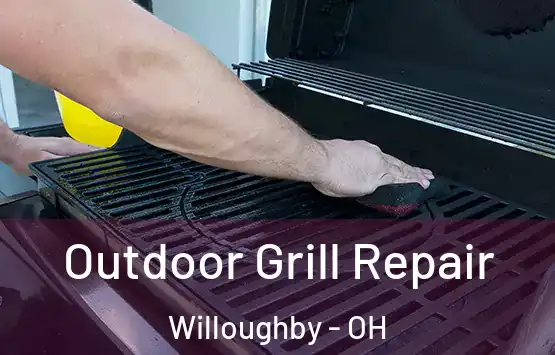  Outdoor Grill Repair Willoughby - OH