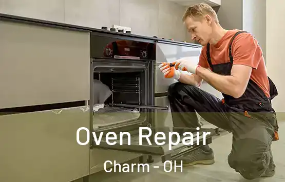  Oven Repair Charm - OH