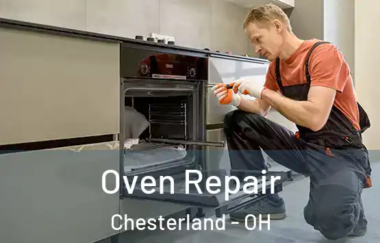  Oven Repair Chesterland - OH