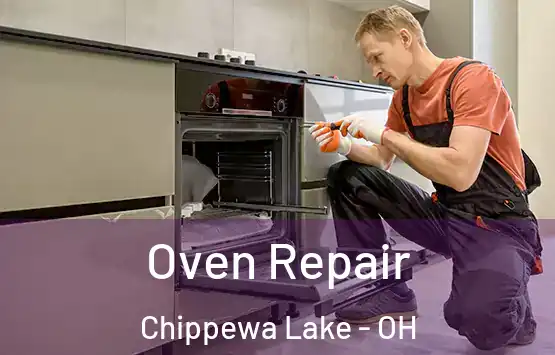  Oven Repair Chippewa Lake - OH