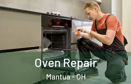  Oven Repair Mantua - OH