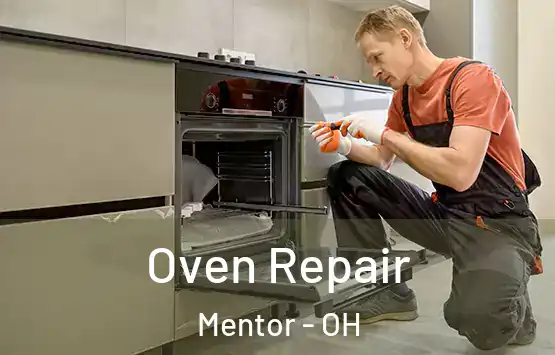  Oven Repair Mentor - OH