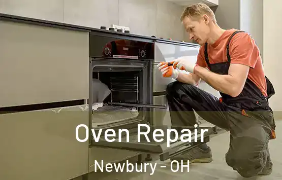 Oven Repair Newbury - OH