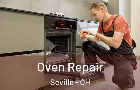  Oven Repair Seville - OH