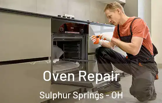  Oven Repair Sulphur Springs - OH