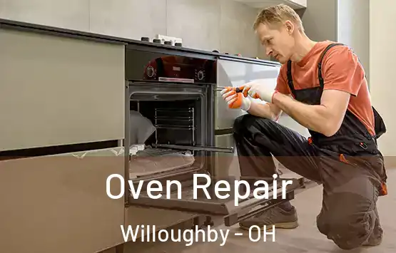 Oven Repair Willoughby - OH