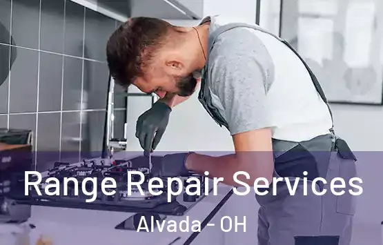  Range Repair Services Alvada - OH