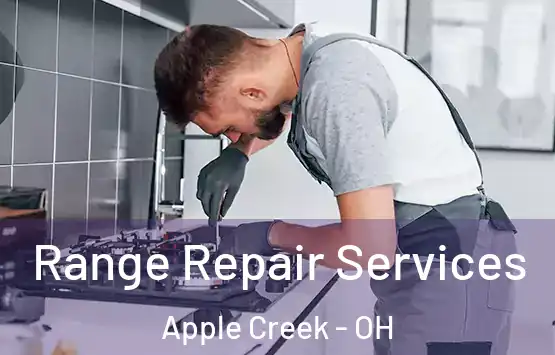  Range Repair Services Apple Creek - OH