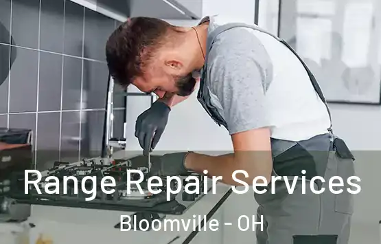  Range Repair Services Bloomville - OH