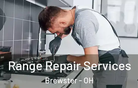  Range Repair Services Brewster - OH