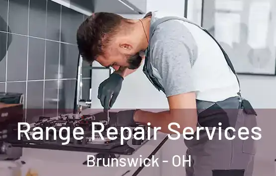  Range Repair Services Brunswick - OH