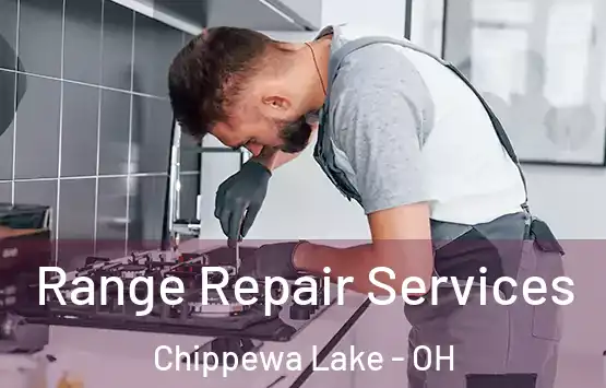  Range Repair Services Chippewa Lake - OH
