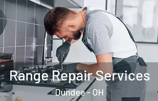  Range Repair Services Dundee - OH