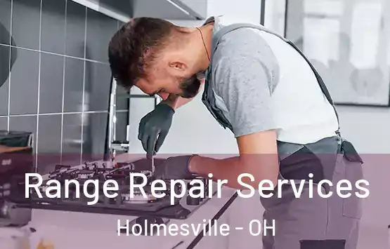  Range Repair Services Holmesville - OH