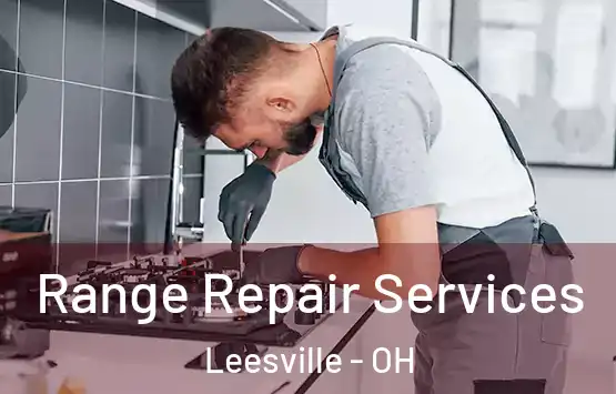  Range Repair Services Leesville - OH