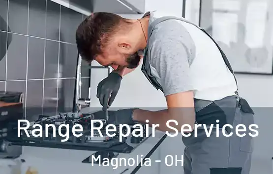  Range Repair Services Magnolia - OH