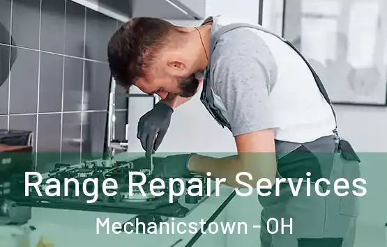  Range Repair Services Mechanicstown - OH
