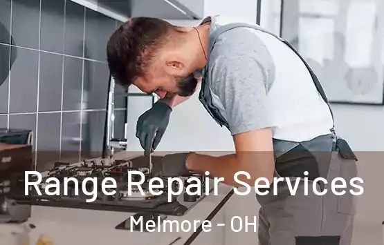  Range Repair Services Melmore - OH