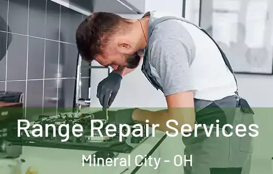  Range Repair Services Mineral City - OH