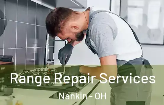  Range Repair Services Nankin - OH