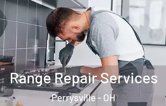  Range Repair Services Perrysville - OH