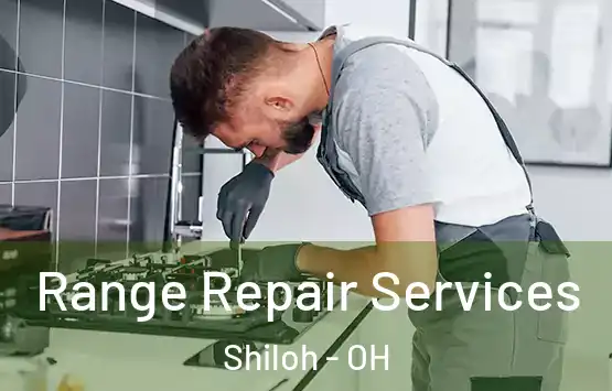  Range Repair Services Shiloh - OH
