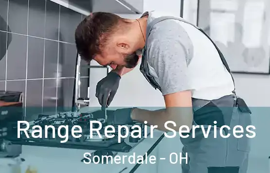  Range Repair Services Somerdale - OH