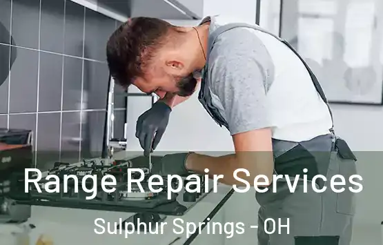  Range Repair Services Sulphur Springs - OH
